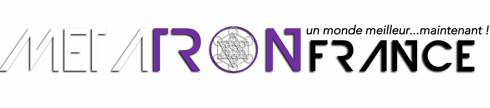 cropped texte metatron france 2